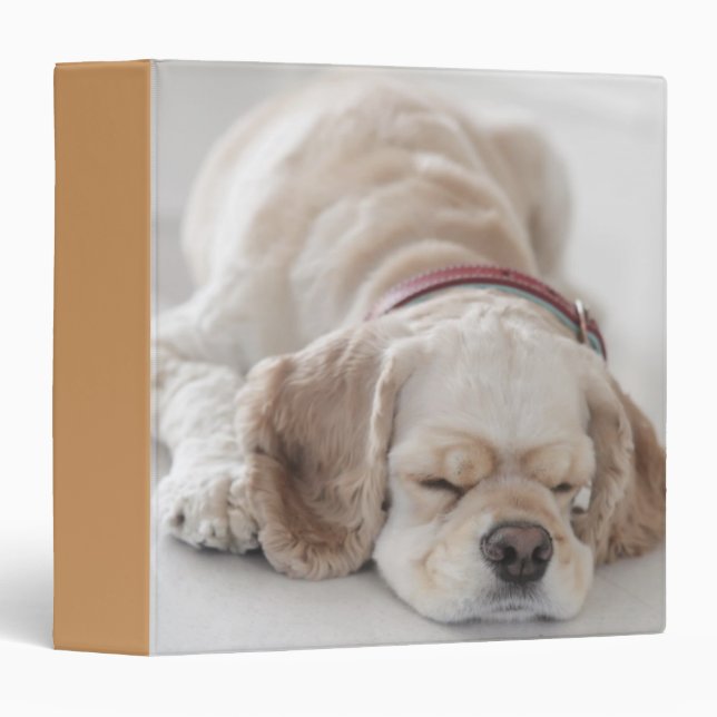 Cocker spaniel dog sleeping binder (Front/Spine)