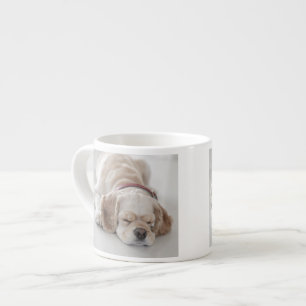 Cocker spaniel dog sleeping espresso cup