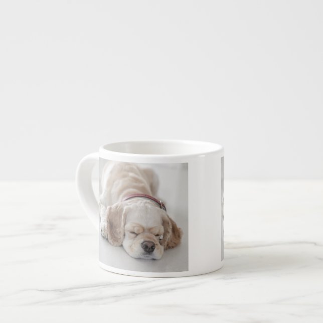 Cocker spaniel dog sleeping espresso cup (Front Left)