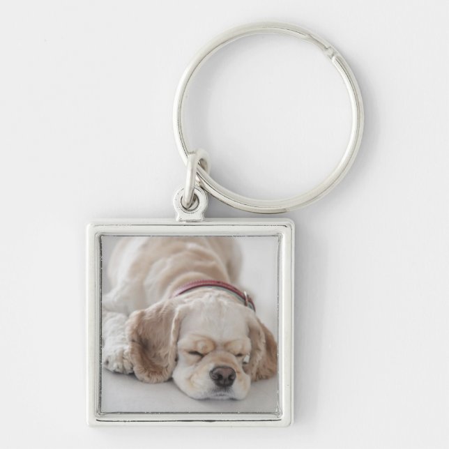 Cocker spaniel dog sleeping keychain (Front)