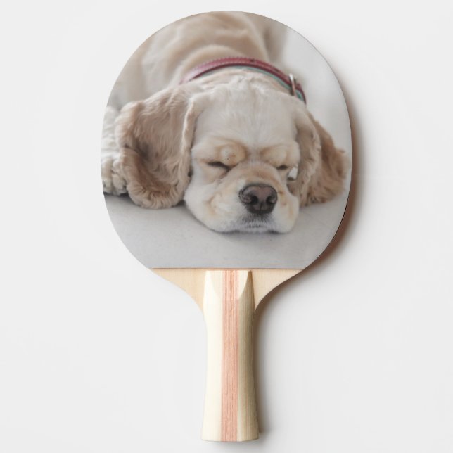 Cocker spaniel dog sleeping ping pong paddle (Front)