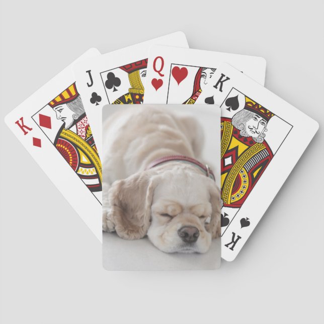 Cocker spaniel dog sleeping playing cards (Back)