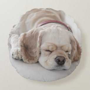 Cocker spaniel dog sleeping round pillow