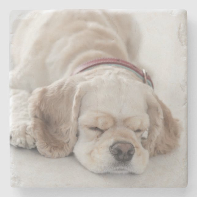 Cocker spaniel dog sleeping stone coaster (Front)