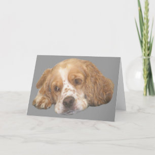 Cocker Spaniel Freckles Greeting Card