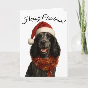 Cocker Spaniel Happy Christmas card