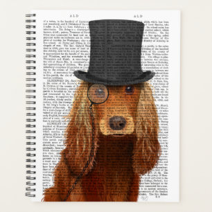 Cocker Spaniel, Hound officiel et Casquette