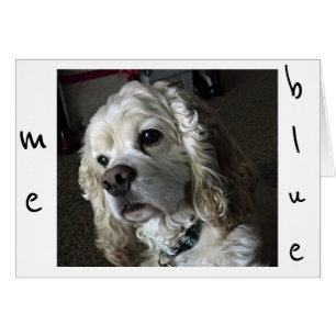COCKER SPANIEL IS "BLUE" WITHOUT "YOU"