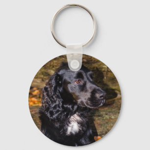 Cocker Spaniel Keyring
