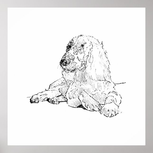 Cocker Spaniel Line Drawing Art Dog  Poster (Front)