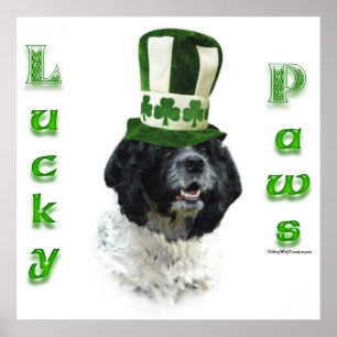 Cocker Spaniel Lucky Paws Poster