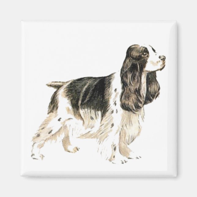Cocker Spaniel magnet (Front)