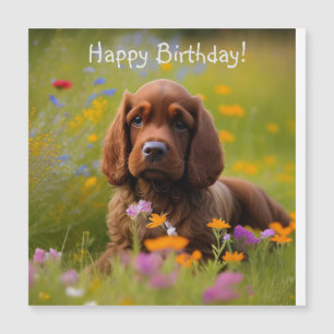 Cocker Spaniel Magnetic Card