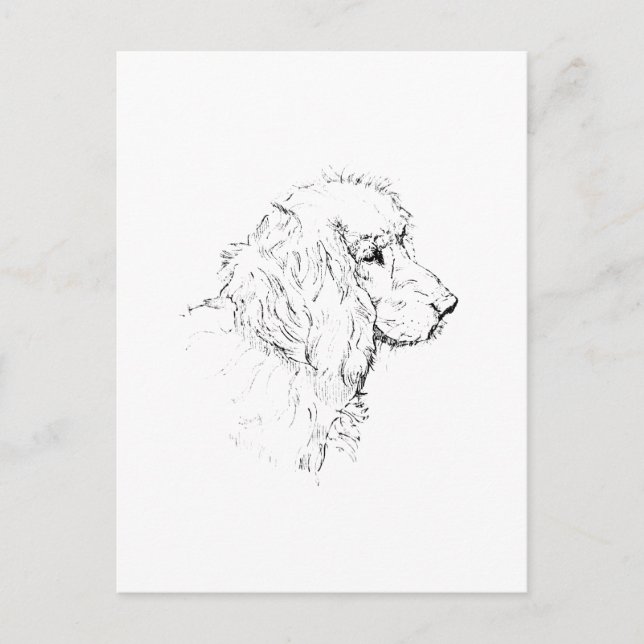 Cocker Spaniel – Minimalist Dog Line Drawing Postcard (Front)