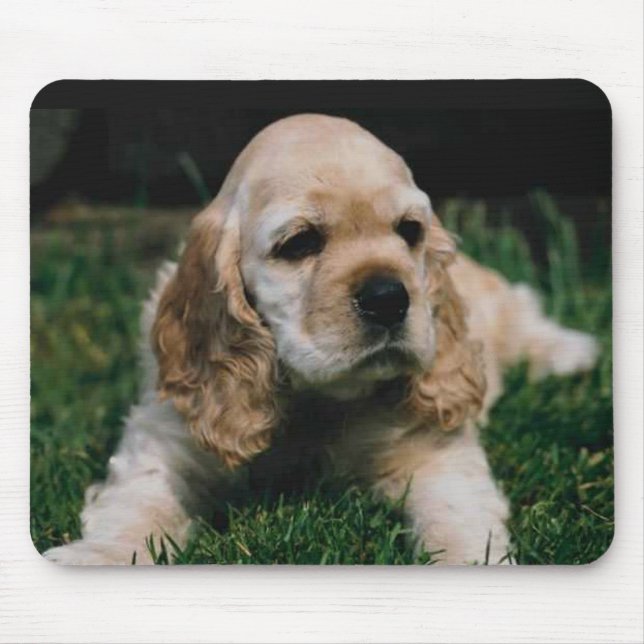 cocker spaniel mouse pad (Front)