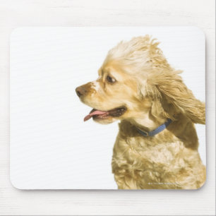 Cocker Spaniel Mouse Pad