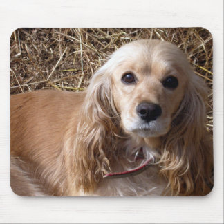 Cocker Spaniel Mouse Pad