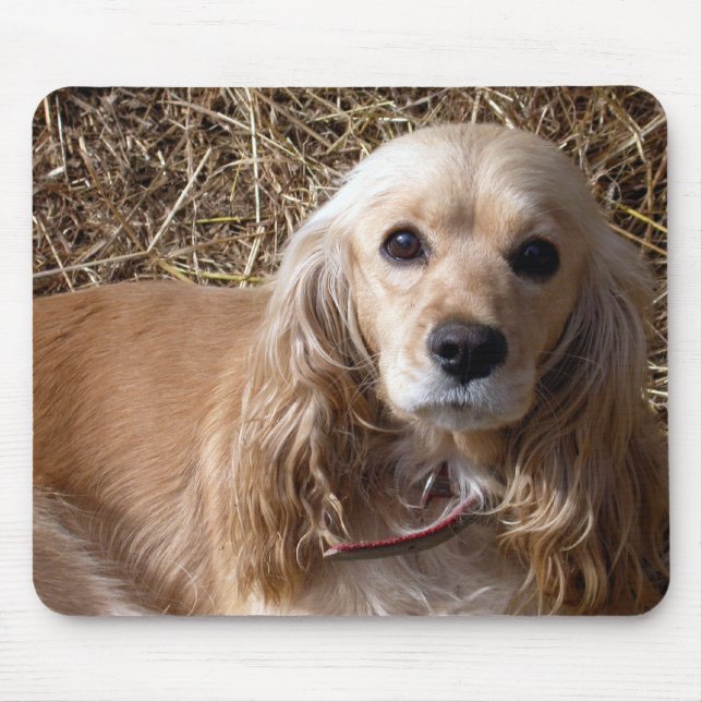 Cocker Spaniel Mouse Pad (Front)
