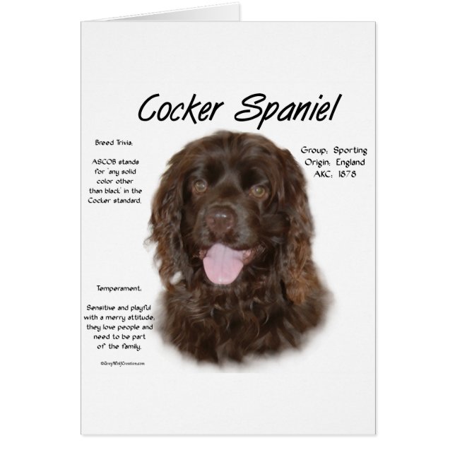 Cocker Spaniel (né) Histoire Design (Devant)