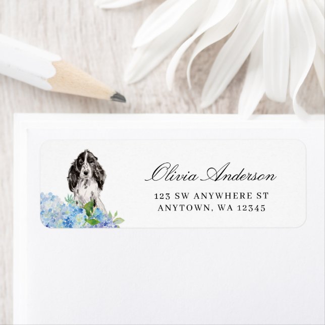 Cocker Spaniel noir et blanc Hydrangea bleue (En situation)