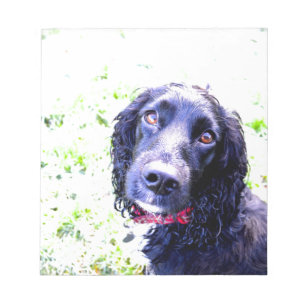 Cocker Spaniel Notepad