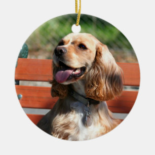 Cocker Spaniel ornament