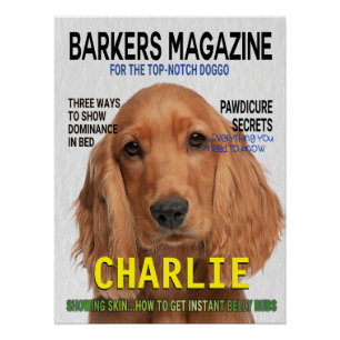 Cocker Spaniel Parody Magazine Poster