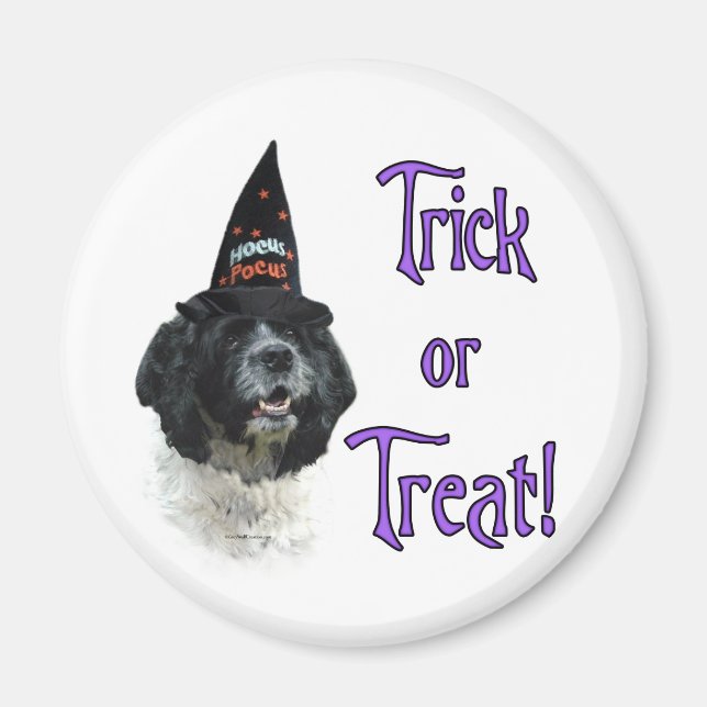 Cocker Spaniel (parti) Trick Magnet (Front)