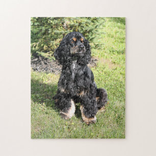 Cocker Spaniel Photo 2 Jigsaw Puzzle