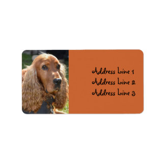 Cocker Spaniel Photo Address Label