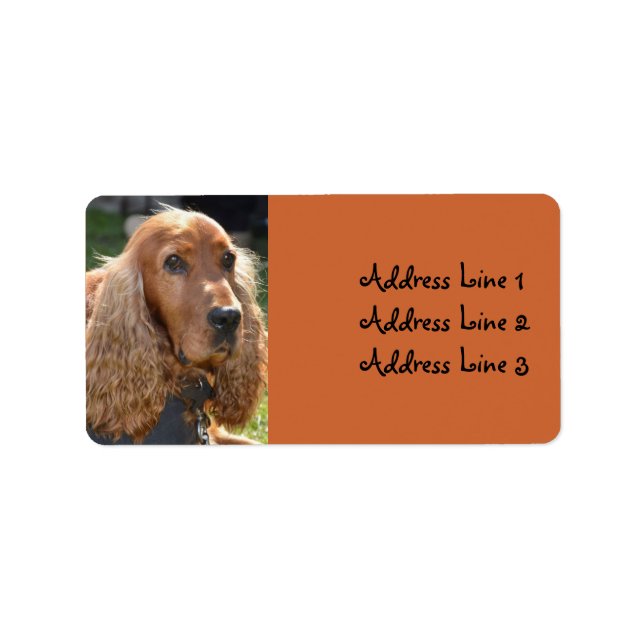 Cocker Spaniel Photo Address Label (Front)