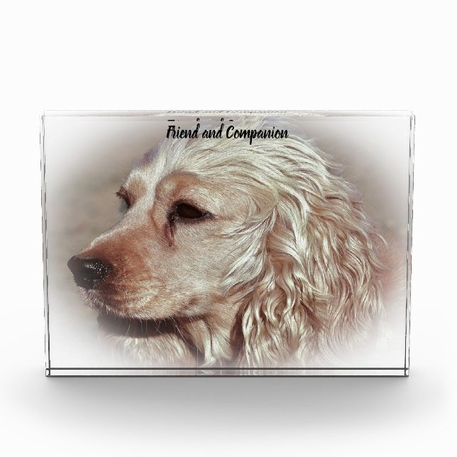 Cocker Spaniel. Photo Block (Front)