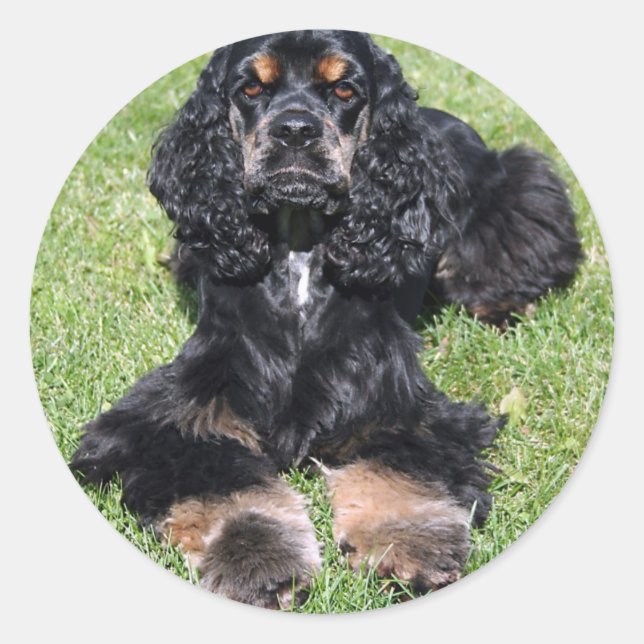 Cocker Spaniel Photo Classic Round Sticker (Front)