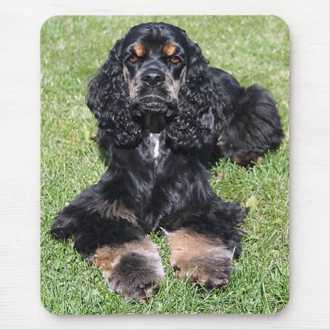 Cocker Spaniel Photo Mousepad (Front)