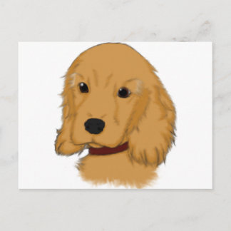 Cocker Spaniel Postcard