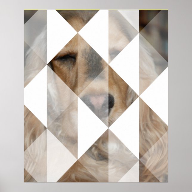 Cocker Spaniel Poster (Front)