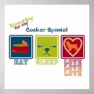 Cocker Spaniel Poster