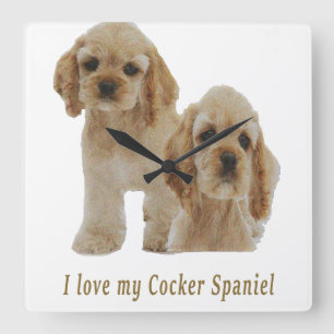 Cocker spaniel puppies clock