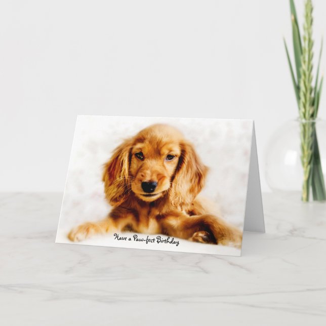 Cocker Spaniel Puppy Bonne carte d'anniversaire (Devant)