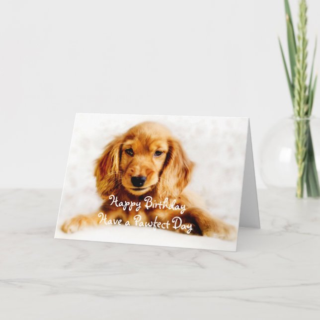 Cocker Spaniel Puppy Happy Birthday Greeting Card (Front)