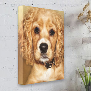 Cocker Spaniel Puppy  Portrait Canvas Wrap Print
