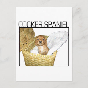 Cocker Spaniel Puppy! Postcard