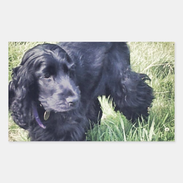 Cocker Spaniel Puppy Sticker (Front)