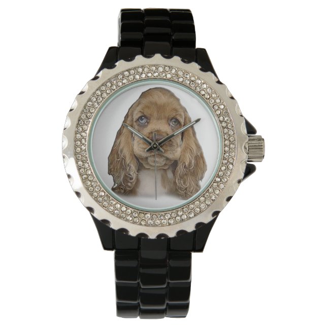 Cocker spaniel puppy watches (Front)
