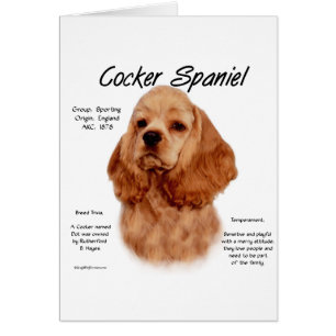 Cocker Spaniel (red) History Design