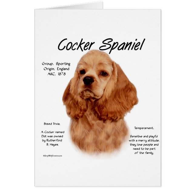 Cocker Spaniel (red) History Design (Front)