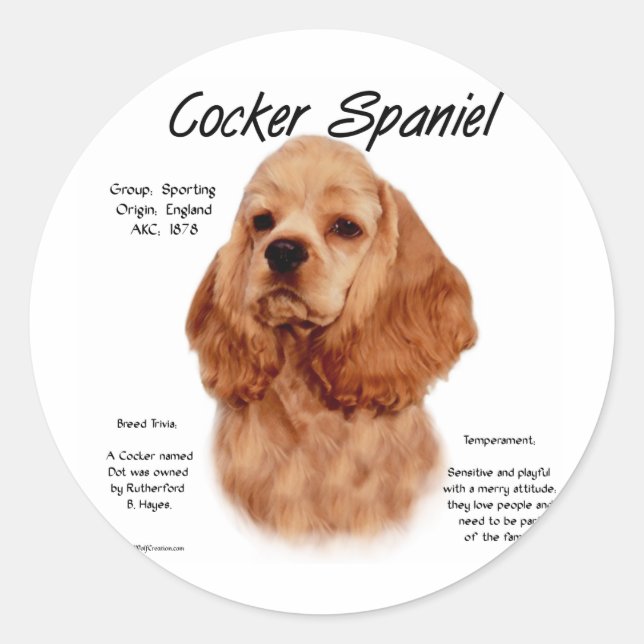 Cocker Spaniel (red) History Design Classic Round Sticker (Front)