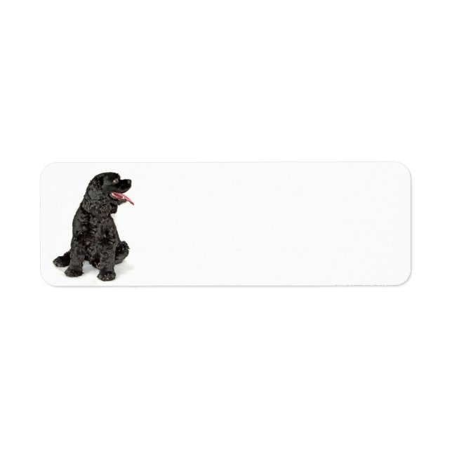 Cocker Spaniel Return Address Label (Front)