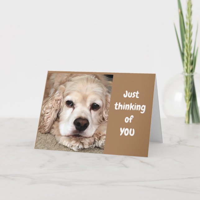 COCKER SPANIEL SAYS "HAVE BEST BIRTHDAY EVER" CARD (Front)