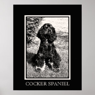Cocker Spaniel Sketch Poster